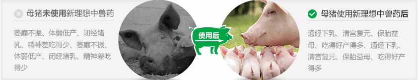 獸藥批發(fā),獸藥廠家,新理想生物制藥 獸藥批發(fā),獸藥廠家,新理想生物制藥