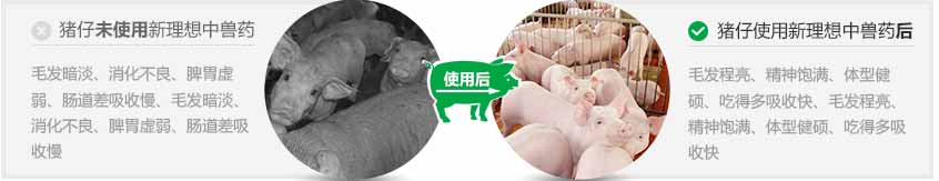 獸藥批發(fā),獸藥廠家,新理想生物制藥 獸藥批發(fā),獸藥廠家,新理想生物制藥