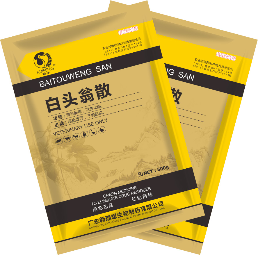 白頭翁散 白頭翁散